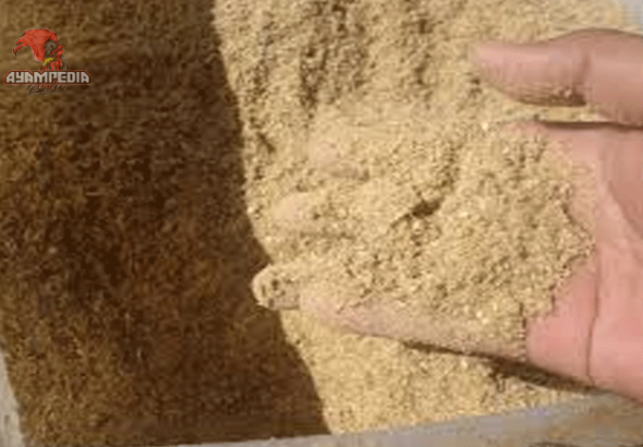 5 Manfaat Jagung dan Dedak untuk Pakan Ayam