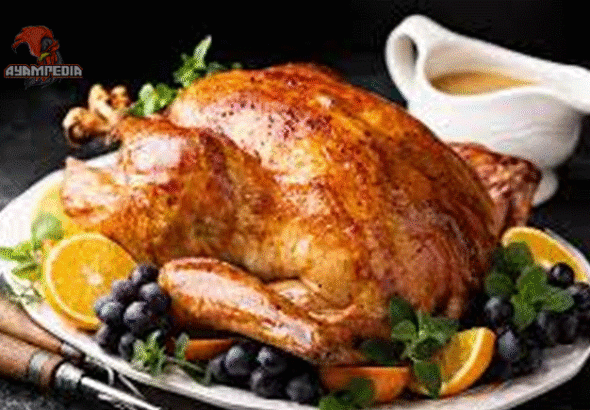 7 Manfaat Daging Ayam Kalkun untuk Kesehatan
