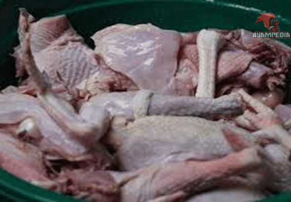 Kandungan Nutrisi Daging Ayam Kampung yang Jarang Diketahui