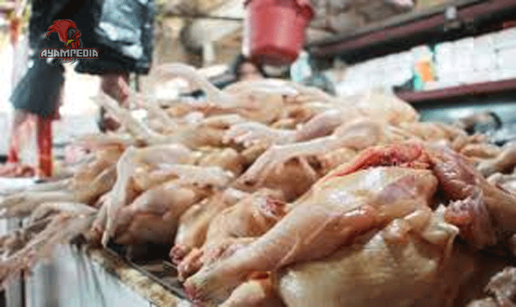 Cara Efektif Menjual Ayam Broiler di Pasar Tradisional dan Online